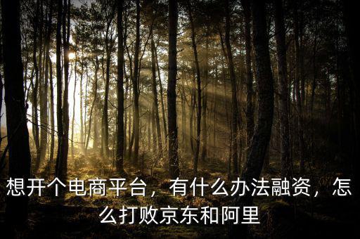 想開個電商平臺，有什么辦法融資，怎么打敗京東和阿里