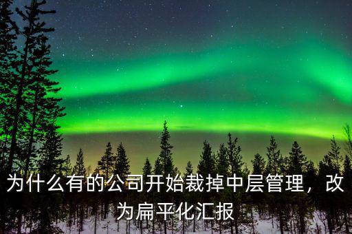 為什么有的公司開始裁掉中層管理，改為扁平化匯報
