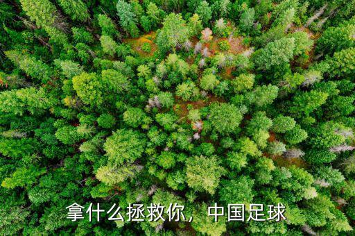 拿什么拯救你，中國(guó)足球