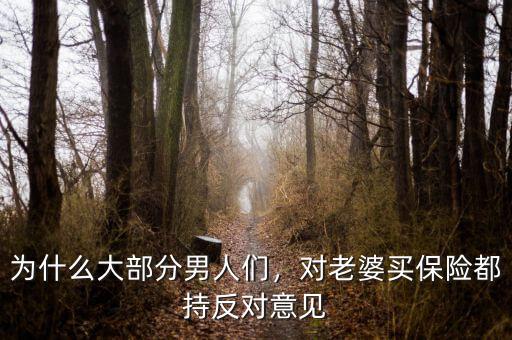 為什么大部分男人們，對(duì)老婆買(mǎi)保險(xiǎn)都持反對(duì)意見(jiàn)