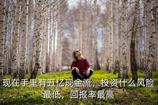 現(xiàn)在手里有五億現(xiàn)金流，投資什么風(fēng)險最低，回報率最高