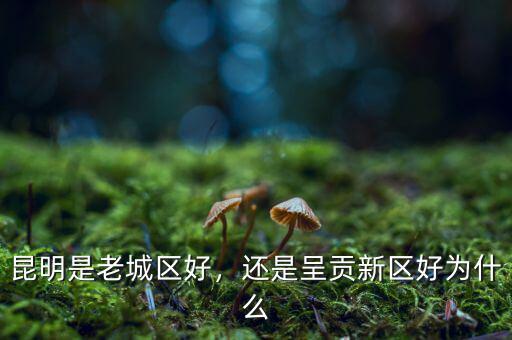 昆明是老城區(qū)好，還是呈貢新區(qū)好為什么
