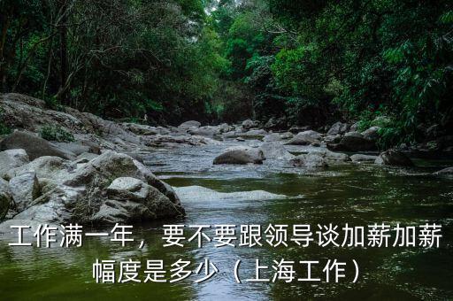 工作滿一年，要不要跟領(lǐng)導談加薪加薪幅度是多少（上海工作）