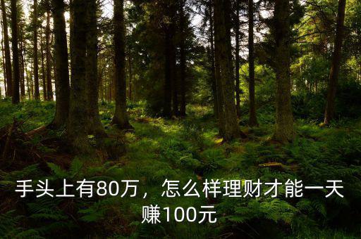 手頭上有80萬，怎么樣理財(cái)才能一天賺100元