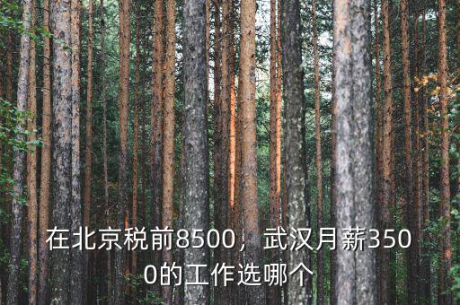 在北京稅前8500，武漢月薪3500的工作選哪個