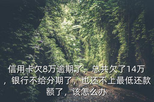 信用卡欠8萬逾期了，總共欠了14萬，銀行不給分期了，也還不上最低還款額了，該怎么辦