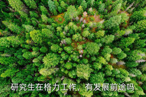 研究生在格力工作，有發(fā)展前途嗎