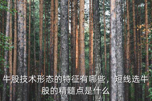 牛股技術(shù)形態(tài)的特征有哪些，短線選牛股的精髓點是什么