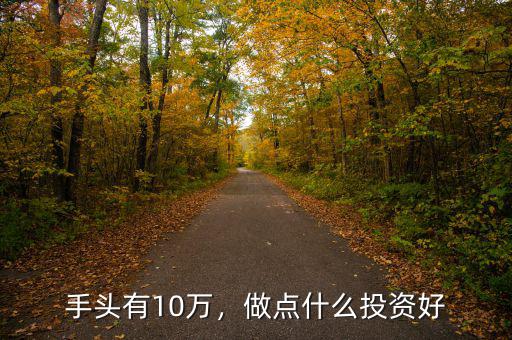 手頭有10萬，做點什么投資好