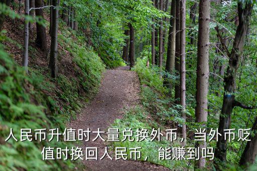 人民幣升值時大量兌換外幣，當外幣貶值時換回人民幣，能賺到嗎