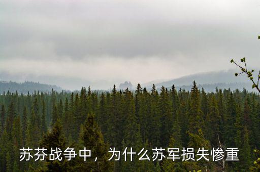蘇芬戰(zhàn)爭中，為什么蘇軍損失慘重