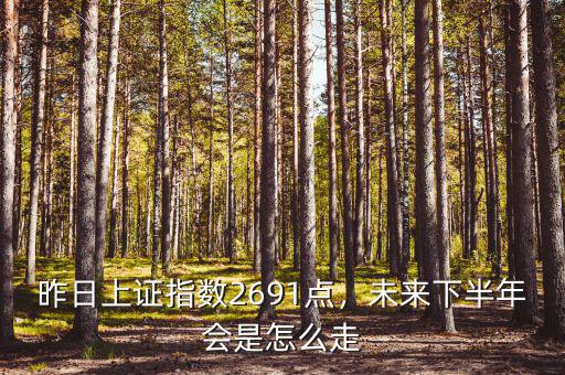 昨日上證指數(shù)2691點(diǎn)，未來下半年會(huì)是怎么走