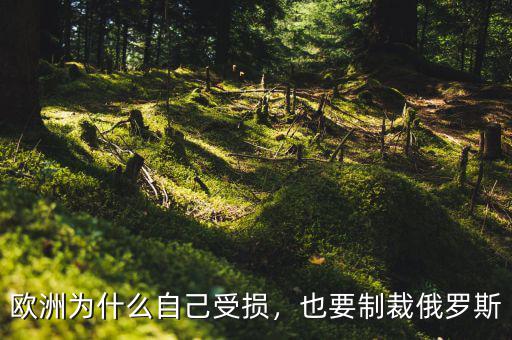 歐洲為什么自己受損，也要制裁俄羅斯