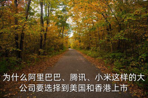 為什么阿里巴巴、騰訊、小米這樣的大公司要選擇到美國和香港上市