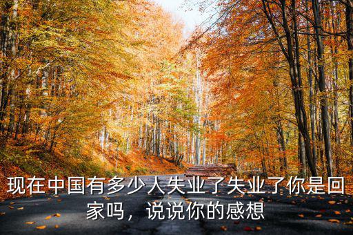 現(xiàn)在中國有多少人失業(yè)了失業(yè)了你是回家嗎，說說你的感想
