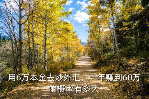 用6萬本金去炒外匯，一年賺到60萬的概率有多大