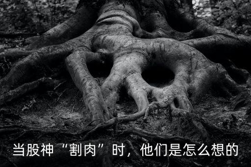 當(dāng)股神“割肉”時(shí)，他們是怎么想的