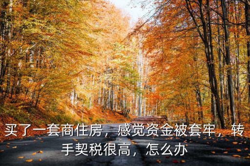 買(mǎi)了一套商住房，感覺(jué)資金被套牢，轉(zhuǎn)手契稅很高，怎么辦