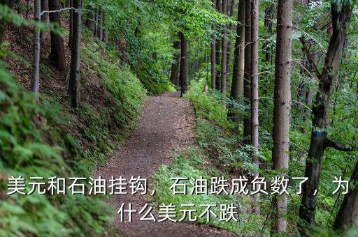 美元和石油掛鉤，石油跌成負數(shù)了，為什么美元不跌