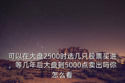 可以在大盤2500時選幾只股票買進(jìn)，等幾年后大盤到5000點(diǎn)賣出嗎你怎么看