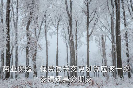 商業(yè)保險，保費怎樣交更劃算應該一次交清還是分期交