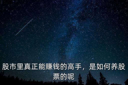 股市里真正能賺錢的高手，是如何養(yǎng)股票的呢