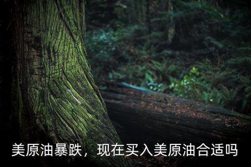 美原油暴跌，現(xiàn)在買入美原油合適嗎
