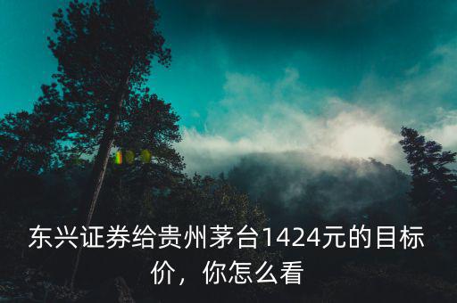 東興證券給貴州茅臺(tái)1424元的目標(biāo)價(jià)，你怎么看