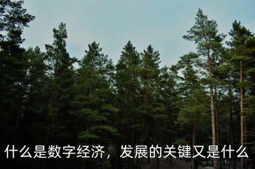 什么是數(shù)字經(jīng)濟，發(fā)展的關(guān)鍵又是什么