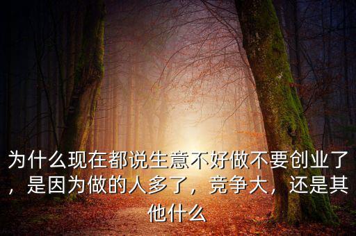 為什么現(xiàn)在都說生意不好做不要創(chuàng)業(yè)了，是因為做的人多了，競爭大，還是其他什么