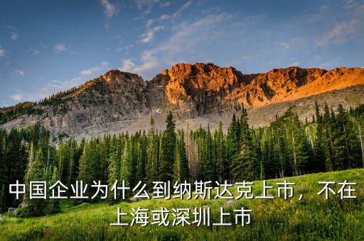 中國(guó)企業(yè)為什么到納斯達(dá)克上市，不在上?；蛏钲谏鲜? class=