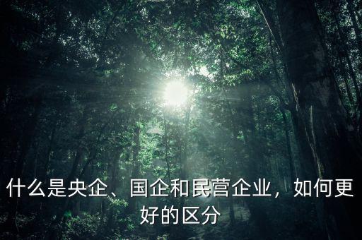 什么是央企、國企和民營企業(yè)，如何更好的區(qū)分