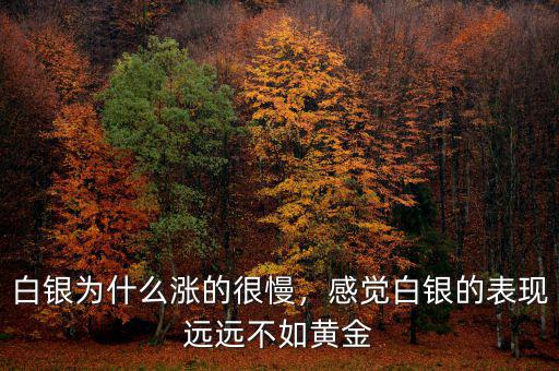白銀為什么漲的很慢，感覺(jué)白銀的表現(xiàn)遠(yuǎn)遠(yuǎn)不如黃金