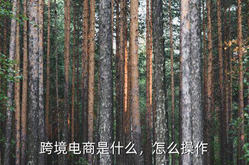 跨境電商是什么，怎么操作