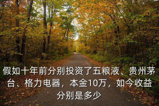 假如十年前分別投資了五糧液、貴州茅臺、格力電器，本金10萬，如今收益分別是多少
