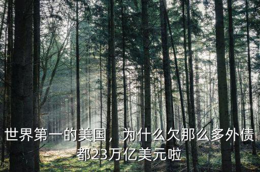 世界第一的美國，為什么欠那么多外債都23萬億美元啦