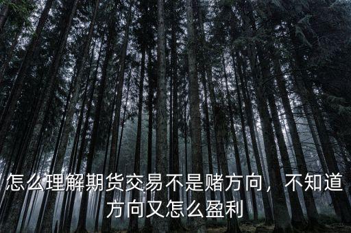 怎么理解期貨交易不是賭方向，不知道方向又怎么盈利