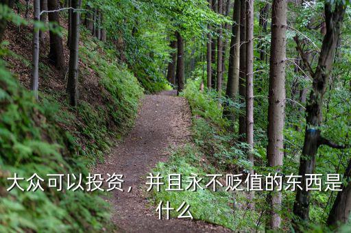 大眾可以投資，并且永不貶值的東西是什么