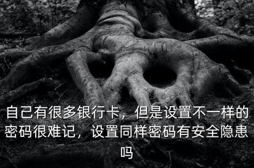 自己有很多銀行卡，但是設置不一樣的密碼很難記，設置同樣密碼有安全隱患嗎