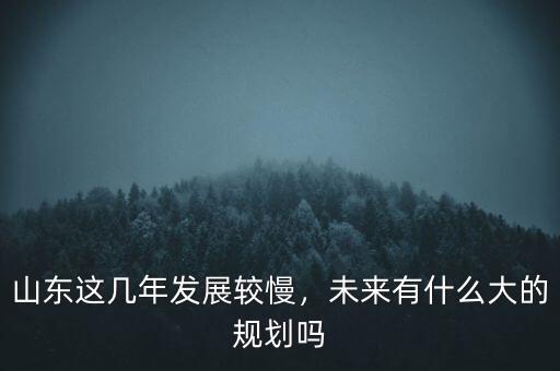 山東這幾年發(fā)展較慢，未來有什么大的規(guī)劃嗎