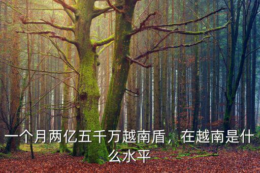 一個(gè)月兩億五千萬越南盾，在越南是什么水平