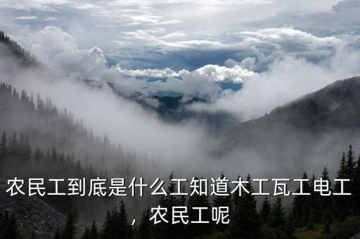 農(nóng)民工到底是什么工知道木工瓦工電工，農(nóng)民工呢