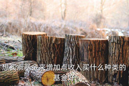 想買點(diǎn)基金來(lái)增加點(diǎn)收入買什么種類的基金好