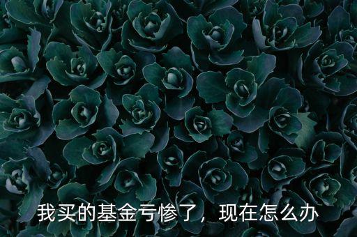 我買的基金虧慘了，現(xiàn)在怎么辦