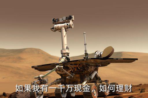 如果我有一千萬(wàn)現(xiàn)金，如何理財(cái)