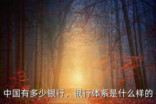 中國有多少銀行，銀行體系是什么樣的