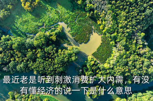 最近老是聽(tīng)到刺激消費(fèi)擴(kuò)大內(nèi)需，有沒(méi)有懂經(jīng)濟(jì)的說(shuō)一下是什么意思