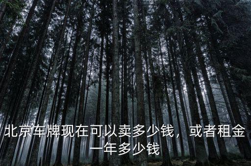 北京車牌現(xiàn)在可以賣多少錢，或者租金一年多少錢