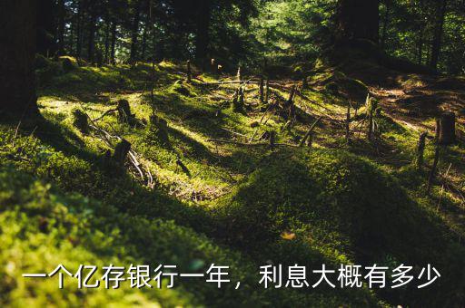 一個億存銀行一年，利息大概有多少