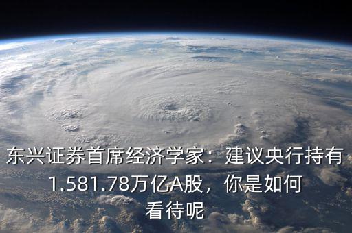 東興證券首席經(jīng)濟(jì)學(xué)家：建議央行持有1.581.78萬億A股，你是如何看待呢